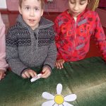 Img 20260216 085625 561