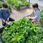 Img 20260311 132741 474