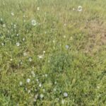 Img 20260626 055214 456