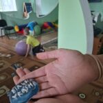 Img 20260626 055355 037
